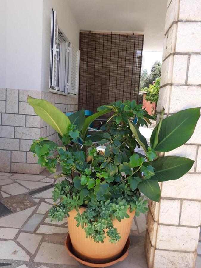 Apartments Ukic Rogoznica  Zewnętrze zdjęcie